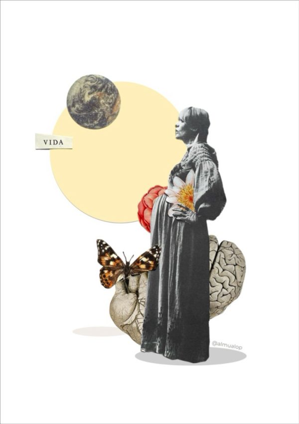 Vida